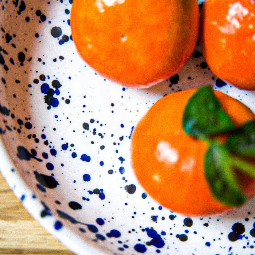 plats-mouchette-bleu-et-blanc